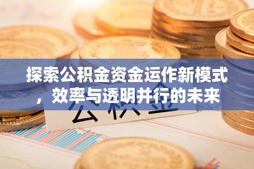 成县探索公积金资金运作新模式，效率与透明并行的未来