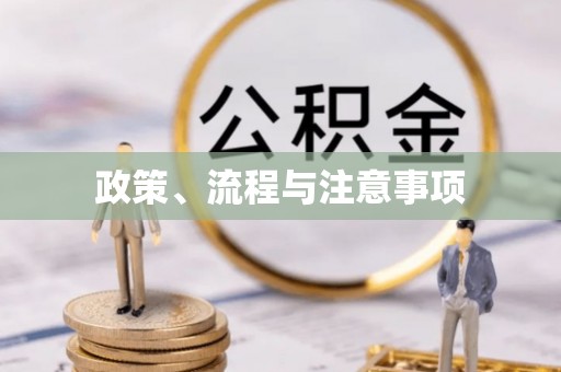 成县政策、流程与注意事项