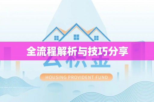 成县全流程解析与技巧分享
